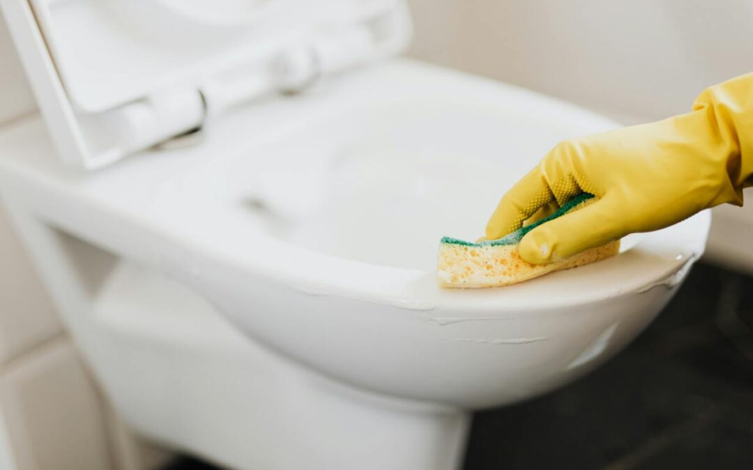Black Mold in a Toilet – The Cheap and Easy Solution (and how to get rid of it) in 2024
