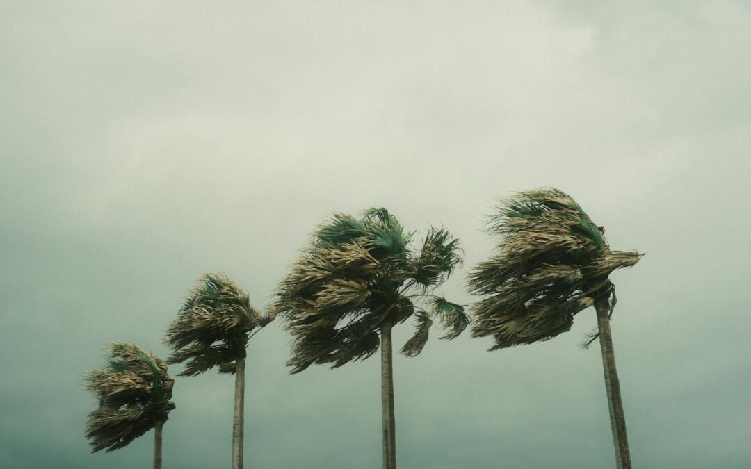 How to Ensure Your Lanai is Hurricane Ready in 2020