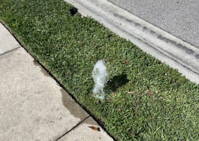 Irrigation damage that went unnoticed by the HOA landscaping team but was identified during our Shield Home Watch Service Call in Lakewood Ranch and Manatee County!