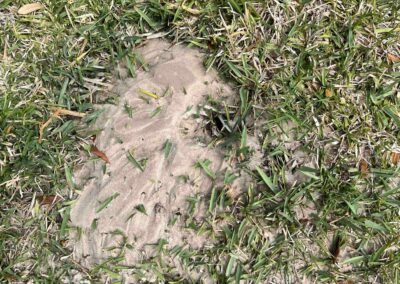 Irrigation leak causing sand to erode around the back-flow preventer caught during our Shield Home Watch Service Call in Lakewood Ranch and Manatee County!
