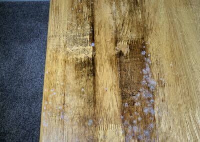 Organic growth that has not been identified by a professional growing on a wood bench in spare bedroom was seen during our Shield Home Watch Service Call in Lakewood Ranch and Manatee County!