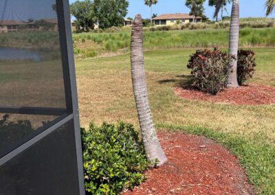 A little off the top. This tree died and needs to be replaced was identified during a Home Watch Service Call in the River Strand at Heritage Harbour in Bradenton Florida.