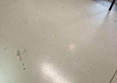 Large bug infestation found in garage was witnessed during our Shield Home Watch Service Call