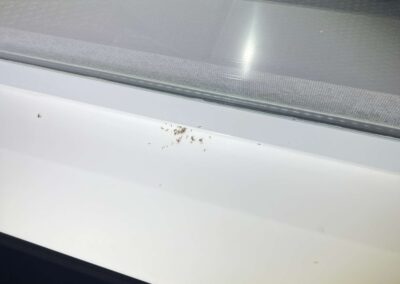 Insects build up on window sill was witnessed during our Shield Home Watch Service Call