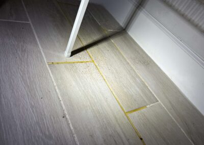 Unknown Oil Leaking in the Pantry Attracting Bugs was witnessed during our Shield Home Watch Service Call