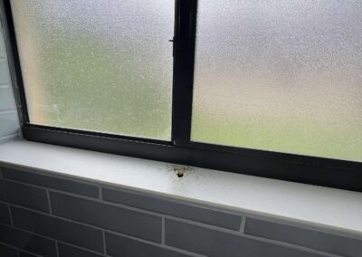 Roof or Window Leak was identified during our Shield Home Watch Service Call