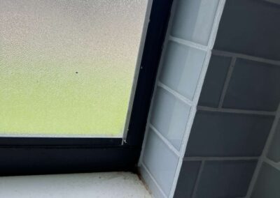Roof or Window Leak was identified during our Shield Home Watch Service Call