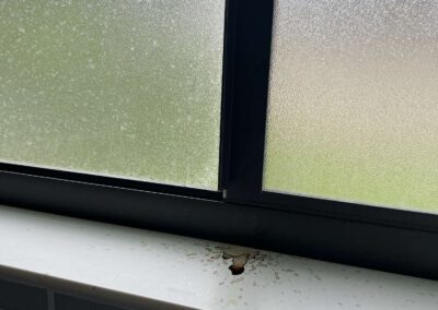 Roof or Window Leak was identified during our Shield Home Watch Service Call