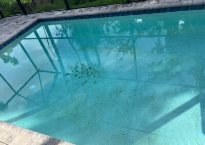 Pool pump was not working and the pool appears to have not been cleaned in a few weeks in Central Park in Lakewood Ranch was identified during our Shield Home Watch Service Call