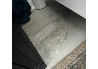 Heavy picture fell to the floor causing damage and broken glass in Trevesta in Palmetto was identified during our Shield Home Watch Service Call