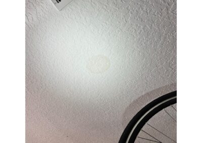 Garage Ceiling Staining after Heavy Rains in GreenBrook at Lakewood Ranch was identified during our Shield Home Watch Service Call