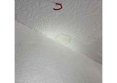 Garage Ceiling Staining after Heavy Rains in GreenBrook at Lakewood Ranch was identified during our Shield Home Watch Service Call