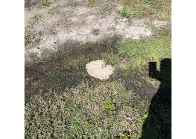 Irrigation pipe damage causing water pooling and root rot in the grass and surrounding landscaping in Esplanade Golf and Country Club at Lakewood Ranch was identified during our Shield Home Watch Service Call