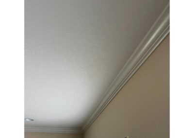 Roof Tile Damage & Ceiling Staining after Heavy Rains in Esplanade Golf and Country Club at Lakewood Ranch was identified during our Shield Home Watch Service Call