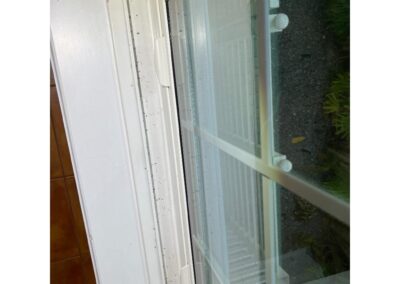 Insect Wings found in the window sill of Holmes Beach was identified during our Shield Home Watch Service Call