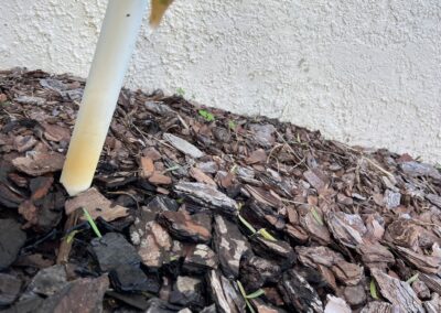 Organic growth growing out of the AC drain line exterior opening was identified during a Home Watch Service Call in the Central Park community in Lakewood Ranch Florida.