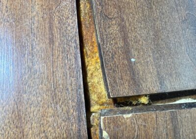 Heavy rain brings potential water damage that can sneak in through a small crack in the exterior stucco was identified during a Home Watch Service Call in the Central Park community in Lakewood Ranch Florida.
