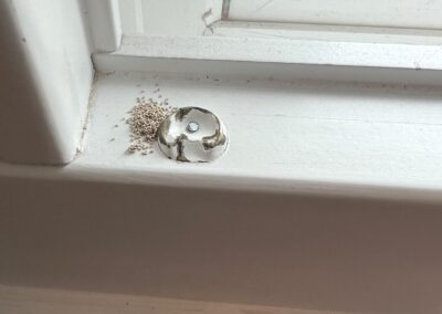 Potential insect frass was identified during a Home Watch Service Call in the Central Park community in Lakewood Ranch Florida.