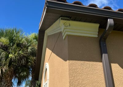 The birds great pretty aggressive down here in Esplanade Golf and Country Club at Lakewood Ranch was identified during our Shield Home Watch Service Call