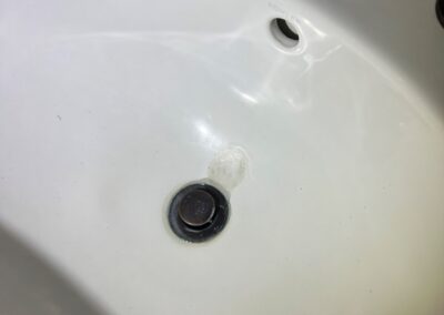 Leaking faucet allowing organic growth in this customers sink was identified during a Home Watch Service Call in the Arbor Grande in Lakewood Ranch Florida.