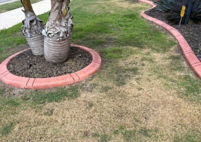 Dead / Dying lawn was witnessed Rusty and loud pool pump developed a leak causing water to pool under the pump ultimately leading to pump failure was uncovered during our Shield Home Watch Service Call in Rosedale Golf and Country Club in Lakewood Ranch and Manatee County!