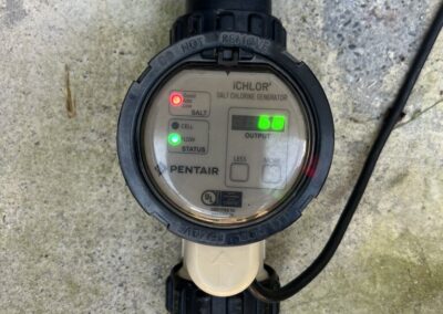 Heavy summer rain can cause pool salt levels to drop allowing organic growth was identified during a Home Watch Service Call in the Waterlefe Golf & River Club in Bradenton Florida.