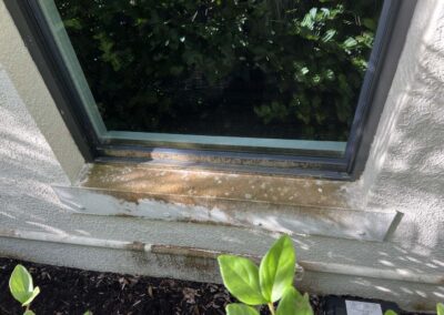 Organic growth and staining of the outside of the house where a gutter is damaged allowing water to drip in the window area was caught during our Shield Home Watch Service Call in Lakewood Ranch Country Club East in Manatee County
