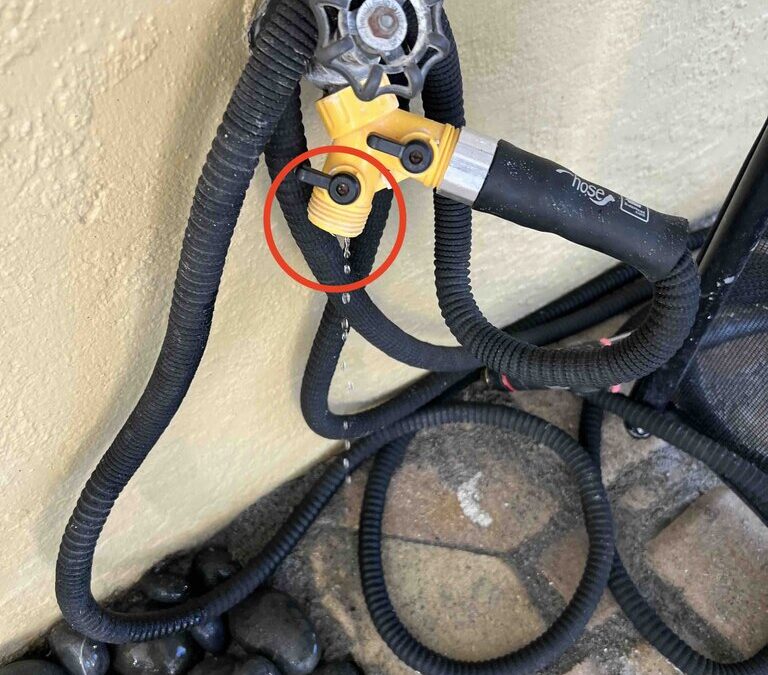 Week of September 08, 2024 – Home Watch Gallery: Discover Last Week’s Exciting Finds! 