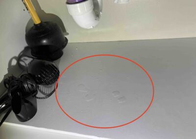 Leaking P-Trap in this Holmes Beach rental property was identified during our Shield Home Watch Service Call.