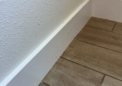 Ants entering through the baseboard and swarming the inside of the house was identified during a Home Watch Service Call in the Del Webb BayView in Parrish Florida.