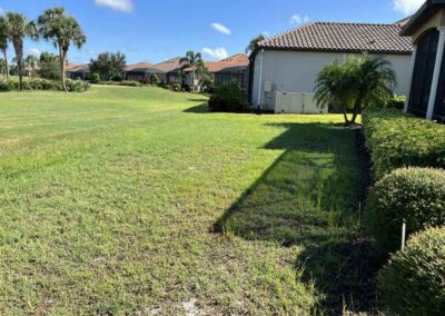 Weeds in the grass and areas that were missed here in Esplanade Golf and Country Club at Lakewood Ranch was identified during our Shield Home Watch Service Call