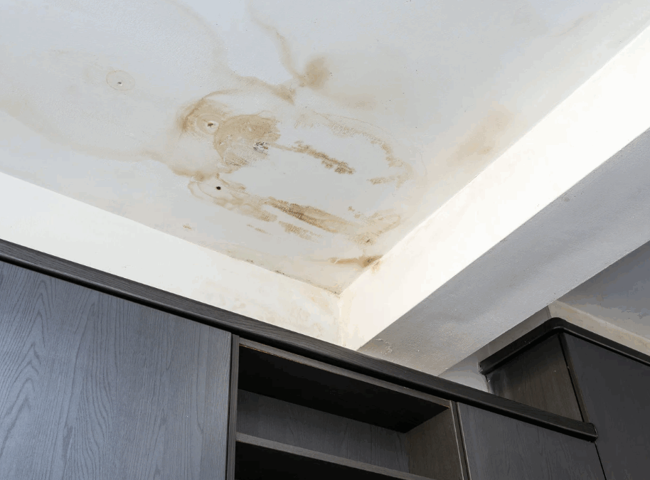 Storm Follow‑Up Services in Florida: Protect Your Home After a Storm